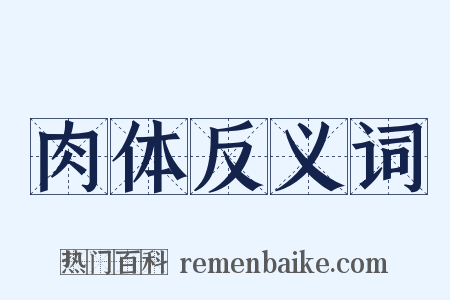 肉体反义词是什么意思的图片